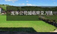 龙年公司起名常见方法