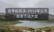 自夸起名法-2012年公司起名方法大全