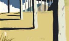 摩羯座什么时候不是人?