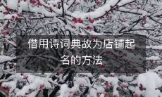 借用诗词典故为店铺起名的方法