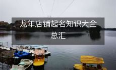 龙年店铺起名知识大全总汇