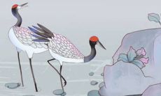 2022年3月14日情人节开张好吗 今日营业怎么样