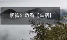 紫微斗数看【车祸】