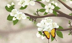 2022年3月1日开张日子吉利吗 当日老黄历查询