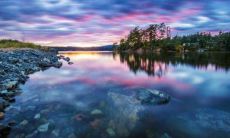 辛丑年2021年8月婚姻运势最好的星座