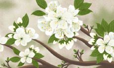 2022年3月2日店铺开业吉利吗 是开张良机吗