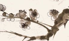 2022年3月7日适合开张吗 开店日子吉利吗