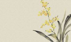 2022年3月5日惊蛰开张好吗 今日营业怎么样