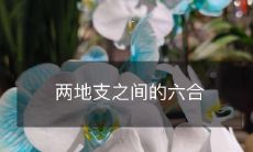 两地支之间的六合