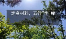 定名材料,五行“字”库