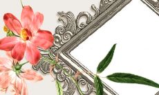 1966年属马财运 第一个财富巅峰是在35岁左右