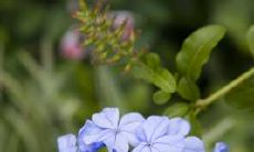 使婚姻顺利的风水 调整睡床方位