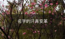 名字的汗青变革