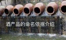 酒产品的命名依据介绍