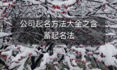 公司起名方法大全之含蓄起名法