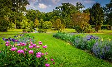 只要能衣食无忧就没有太多烦恼的星座是谁