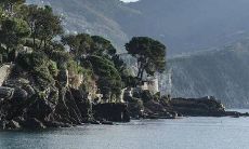 捡到鸽子是好事还是坏事 鸽子在风水中的意义