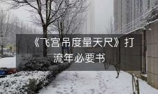 《飞宫吊度量天尺》打流年必要书