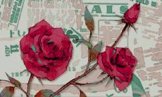 2024年属鼠人的全年运势详解 事业上面会遇到阻碍