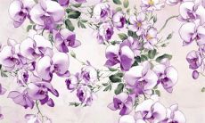 今日五行穿衣:2022年10月28日穿什么颜色旺运势