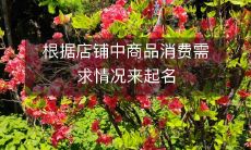 根据店铺中商品消费需求情况来起名