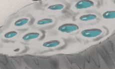 2017年犯太岁这些生肖能避劫迎财