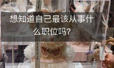 想知道自己最该从事什么职位吗?