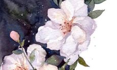 2022年3月28日开张日子吉利吗 当日老黄历查询