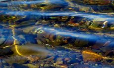 一进门看见流水摆件好吗 风水寓意吉利吗