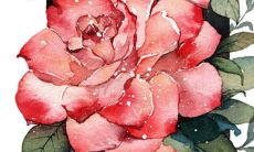 2022年3月27日新店开张好不好 是上等吉日吗