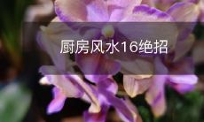 厨房风水16绝招