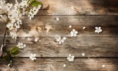 老黄历查询2022年6月10日农历五月十二当天日子怎么样