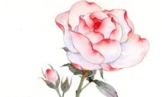 2022年3月31日是开张吉日吗 这天开业好不好