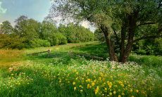 购物狂魔上身的四大星座 非常爱购物的星座