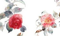 2022年4月1日愚人节开张好吗 今日营业怎么样