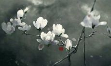 2022年6月26日开张日子吉利吗 当日老黄历查询