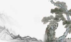 2022年6月12日开张好吗 今日营业怎么样