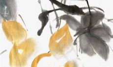 12生肖运势小报2023年2月14日情人节特吉生肖运程详情