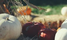 葫芦挂在家里什么位置好招财
