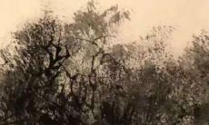 今日特吉生肖：2023年2月12日生肖运势盘点