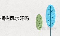 阳台种石榴树风水好吗 寓意吉利吗