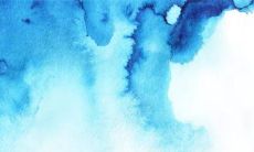 2023年属羊的命运 异性缘旺安全第一