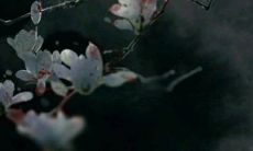 今日特吉生肖：2023年2月4日立春生肖运势盘点