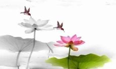 2023年农历正月初一属什么生肖 名利双收享受清福