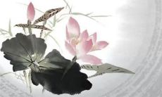 老板命的三大生肖 事业昌盛老板命