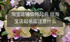 淘宝店铺如何起名 给淘宝店起名应注意什么