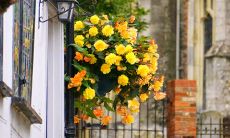 两家对门大门一高一低的风水好不好