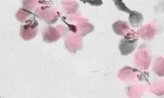 属猴犯冲的四个属相 意见不和争执频繁