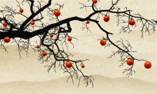 2023年生肖鸡女的财运 财神赐福把控支出