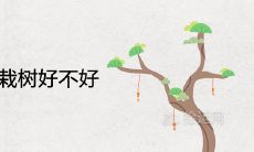 大门口左右栽树好不好 种什么植物风水好